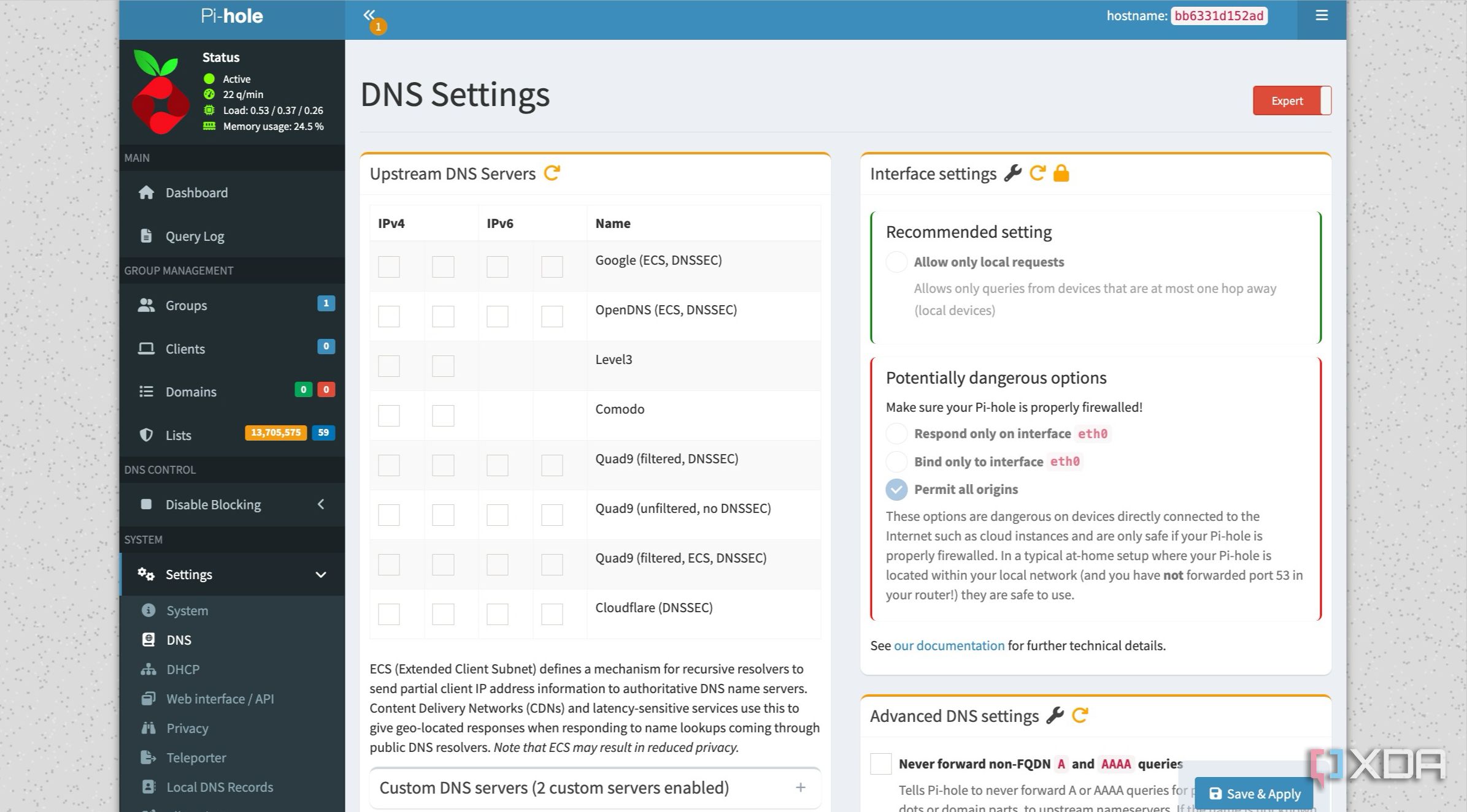 Pi-hole DNS settings