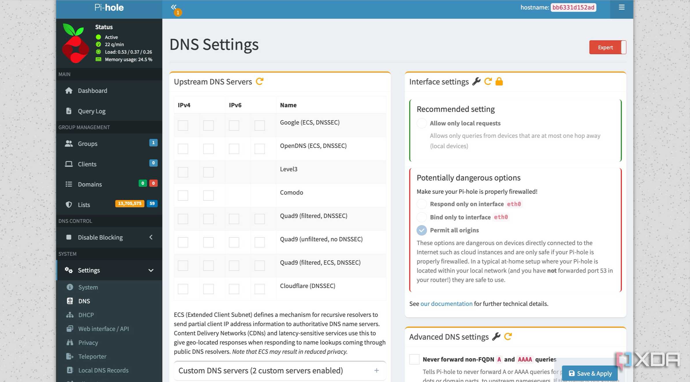 Pi-hole DNS settings