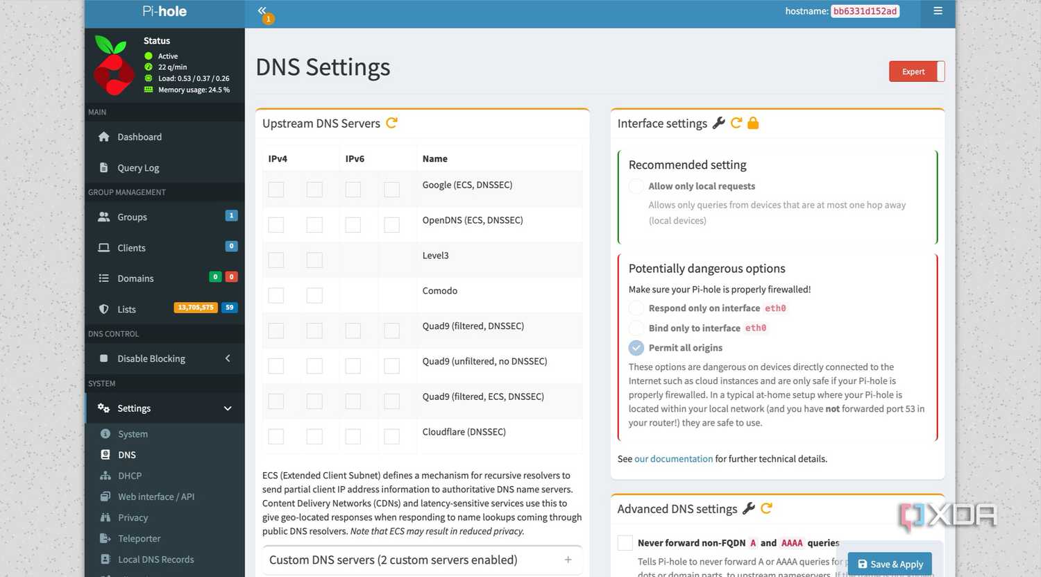 Pi-hole DNS settings