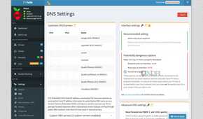 Pi-hole DNS settings