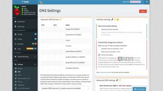 Pi-hole DNS settings