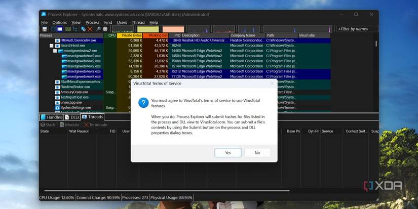 captura de pantalla del total del virus Process Explorer