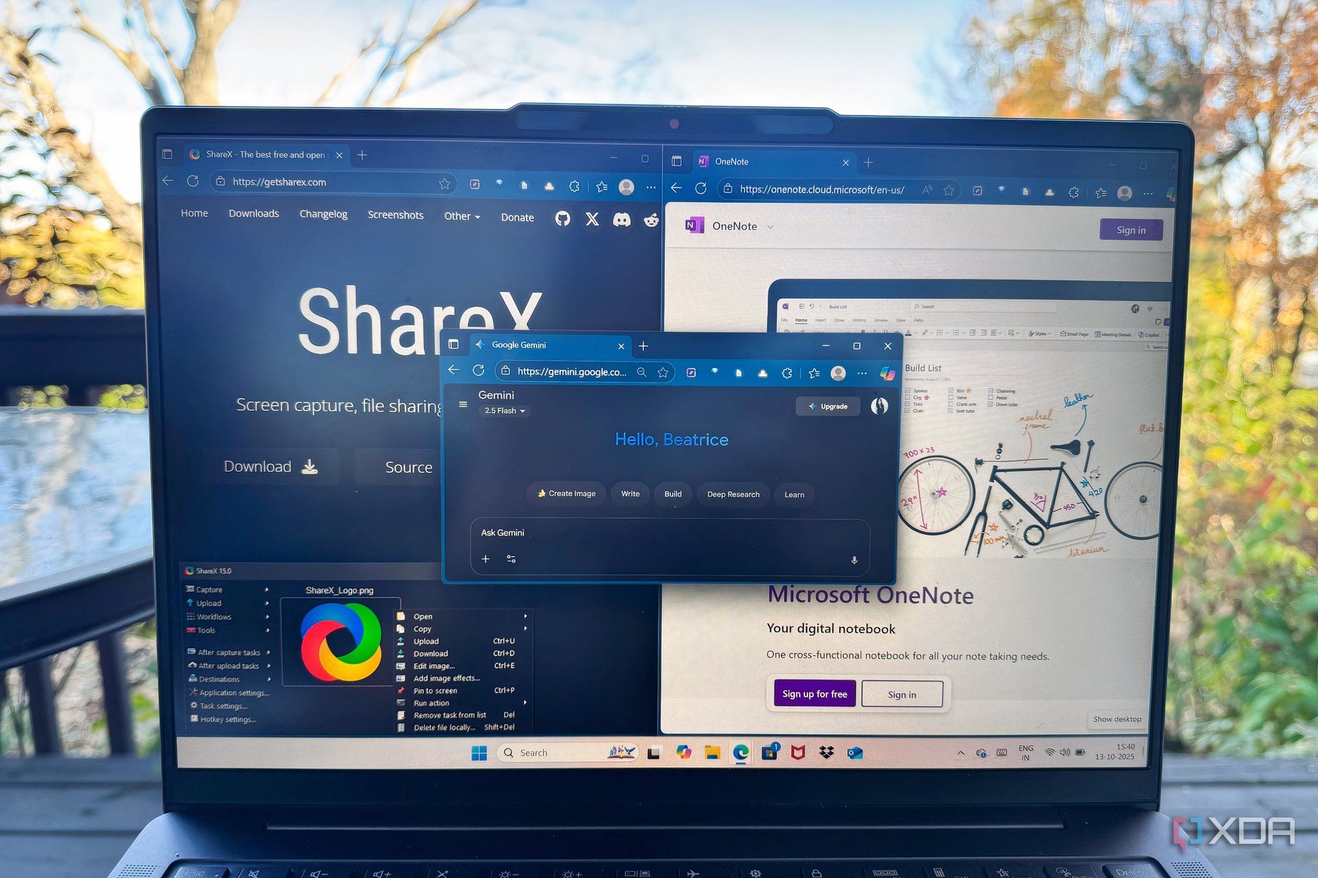 ShareX, Gemini, OneNote in use