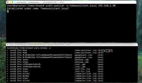 Simulating a multicast flooding test using Avahi utility