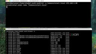 Simulating a multicast flooding test using Avahi utility