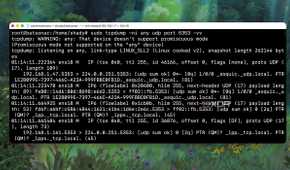 Using the TCPdump utility for investigating multicast flooding across the network