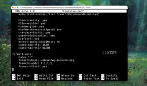 Setting up a fallback Unbound DNS on VPS when home Unbound fails