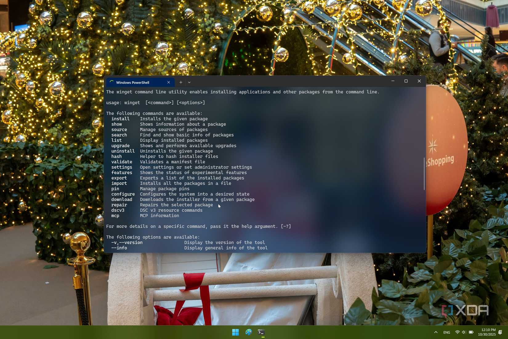 Screenshot of Windows Terminal showing help information for winget