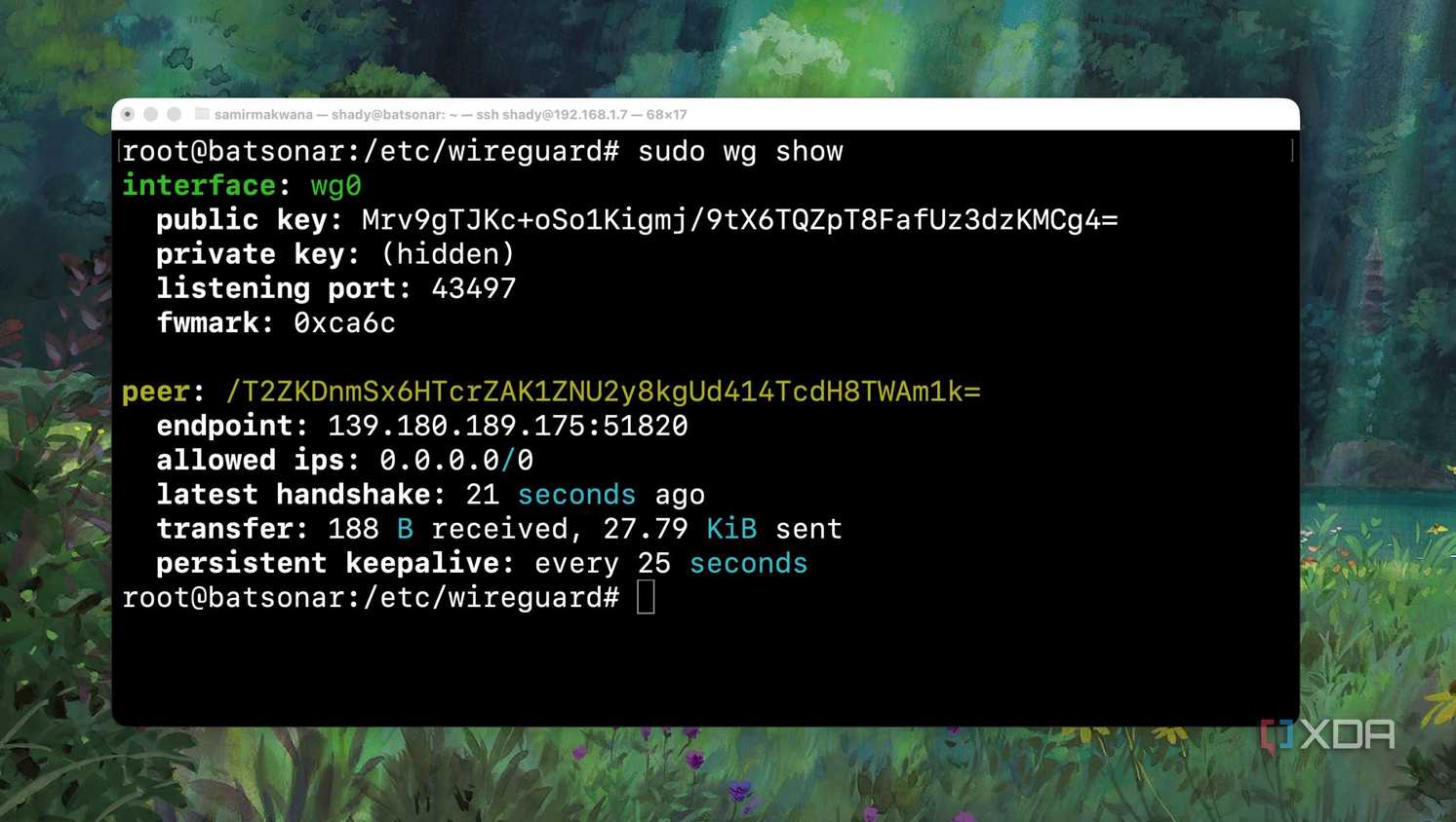 Checking the success message indicating that handshake took place with WireGuard