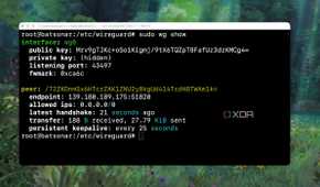 Checking the success message indicating that handshake took place with WireGuard