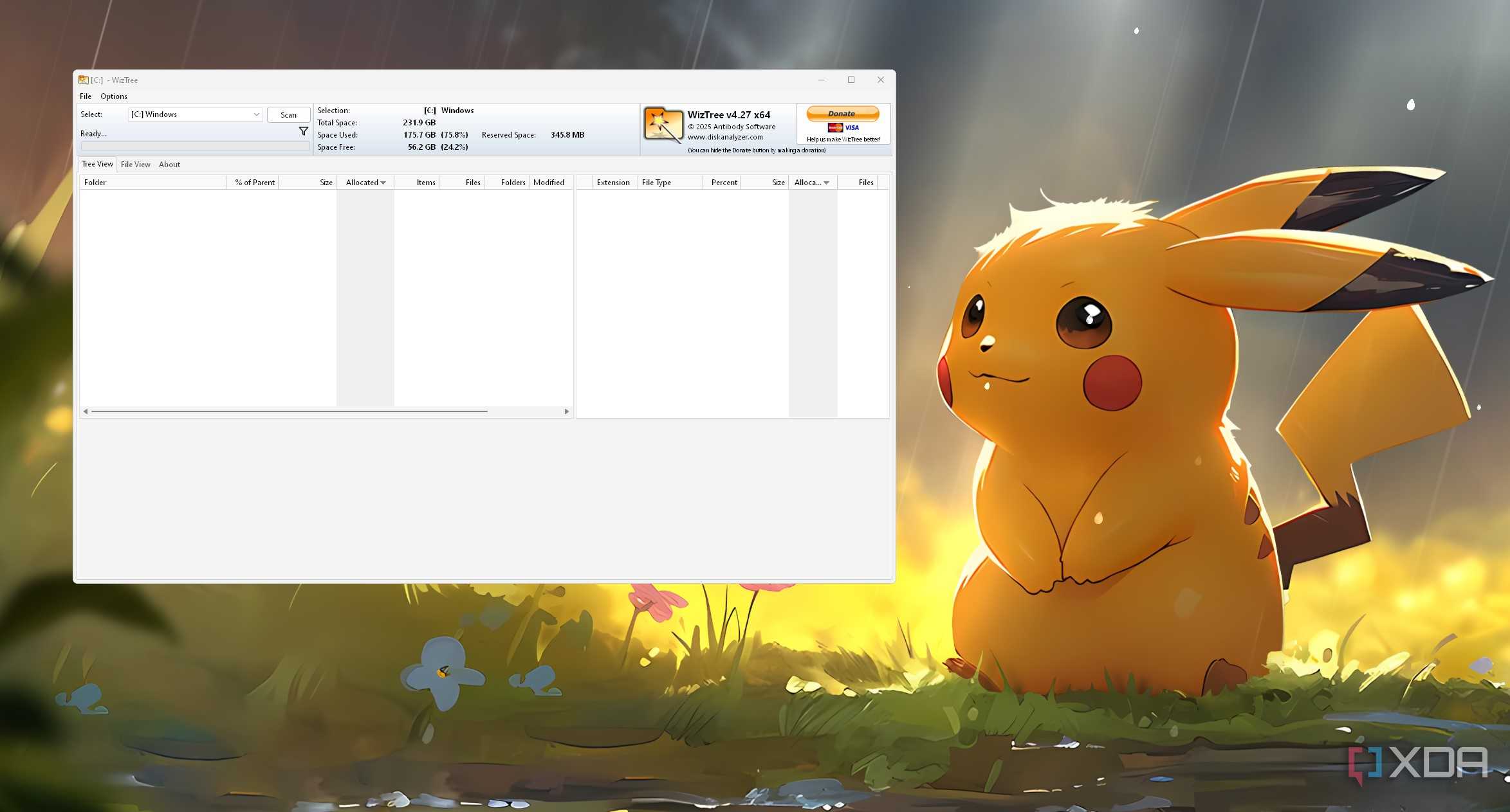 Screenshot of a WizTree window on the desktop