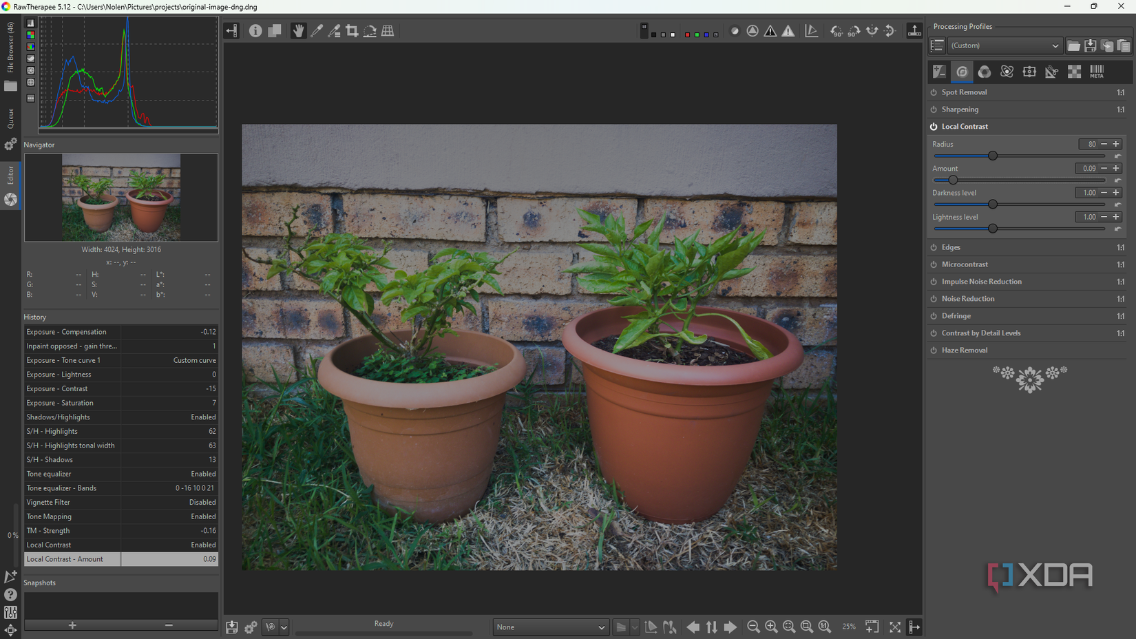 Adjusting local constrast in RawTherapee