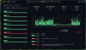 Checking service availability graphs in Uptime Kuma