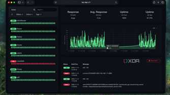 Checking service availability graphs in Uptime Kuma