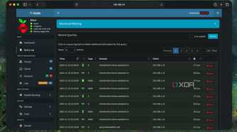 Checking Query log of DNS queries of different devices in Pi-hole