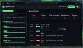 Dashboard of Uptime Kuma with services, containers, and VMs