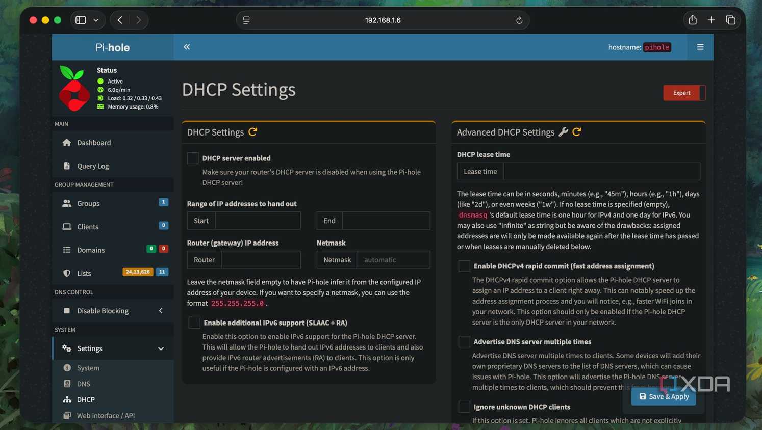 DHCP options in Pi-hole