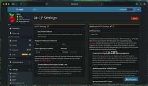 DHCP options in Pi-hole