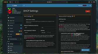 DHCP options in Pi-hole