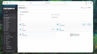Docker Environment Details in Portainer