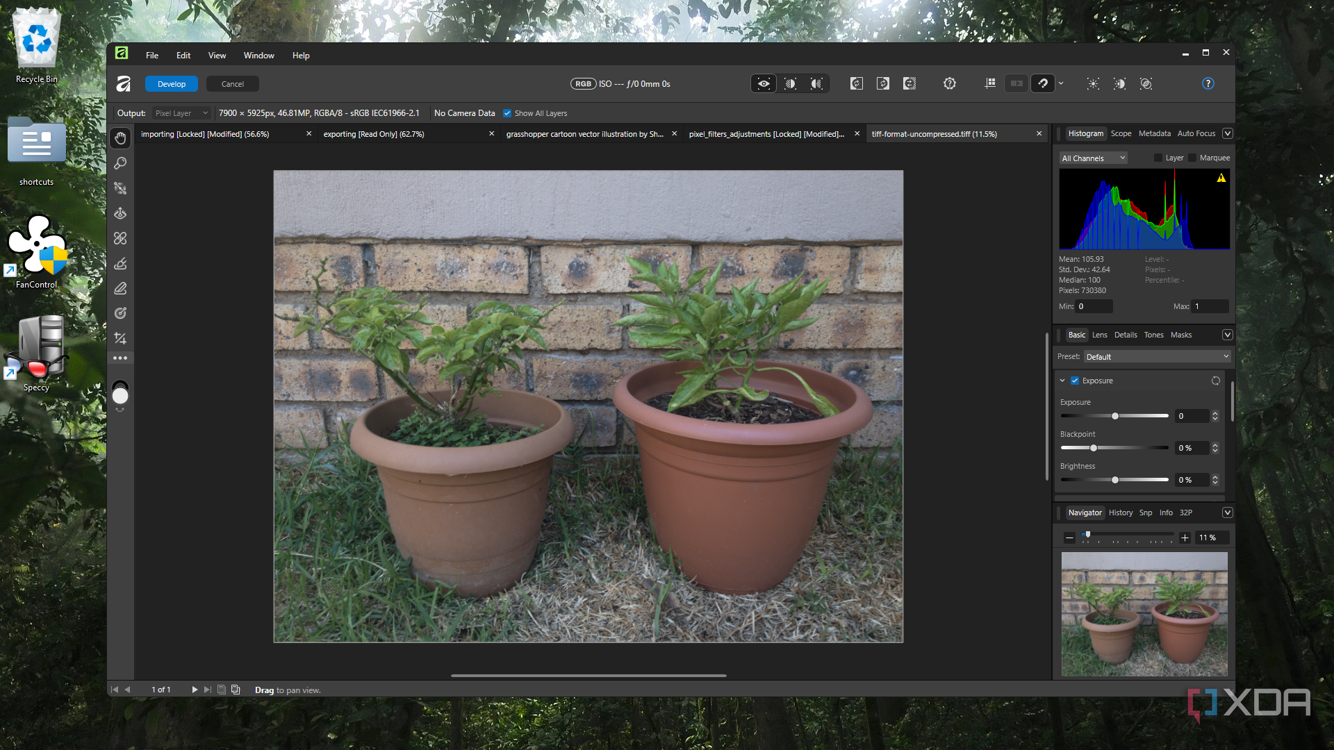 Affinity's free new graphics app replaces Photoshop, Illustrator, and ...