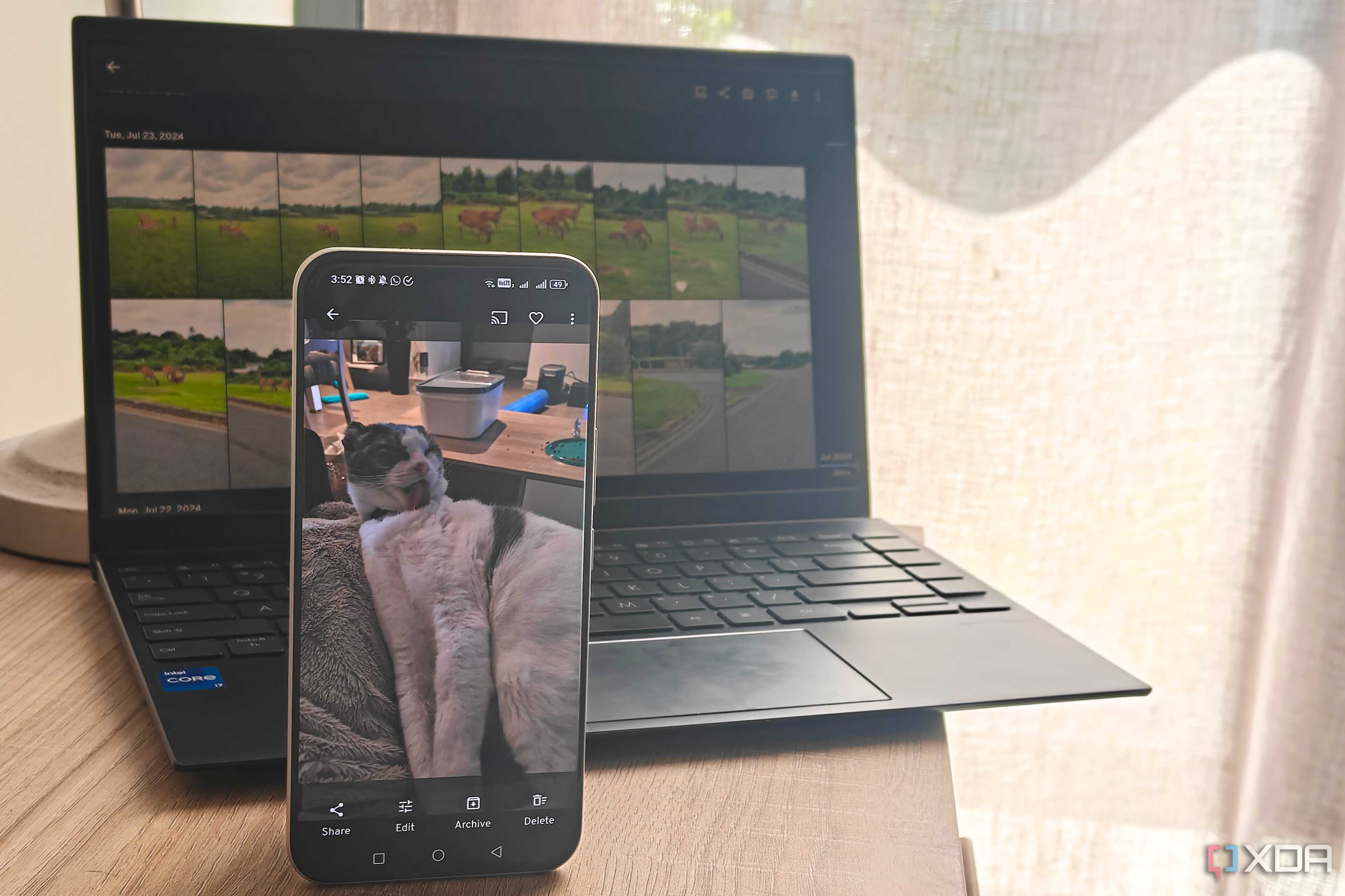 immich on a smartphone in front of a laptop