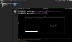 incusOS installation on a proxmox host