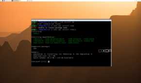 Installing Nodejs on Raspberry Pi