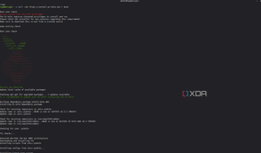 Install Pi-hole using SSH