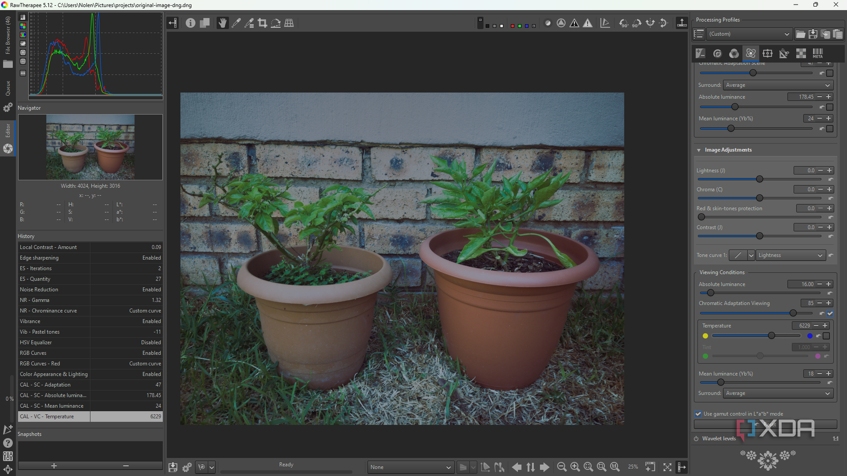 Making image adjustments in RawTherapee