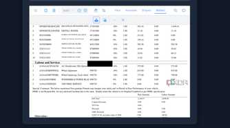 redact information in BentoPDF