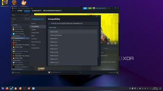 Steam compatibility settings-1
