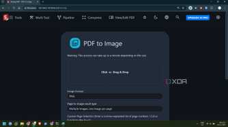 screeenshot of stirlingpdf pdf to image tool settings