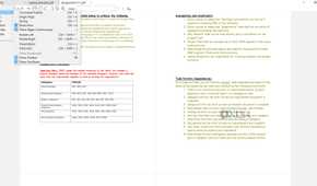 File view options in SumatraPDF