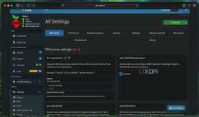 Unbound set as Upstream DNS in settings of Pi-hole