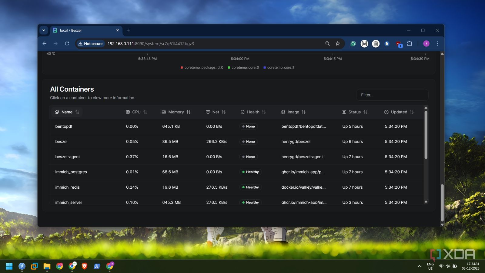 screenshot of beszel container stats