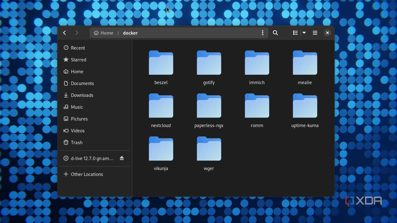 Todas las carpetas de Docker en una PC