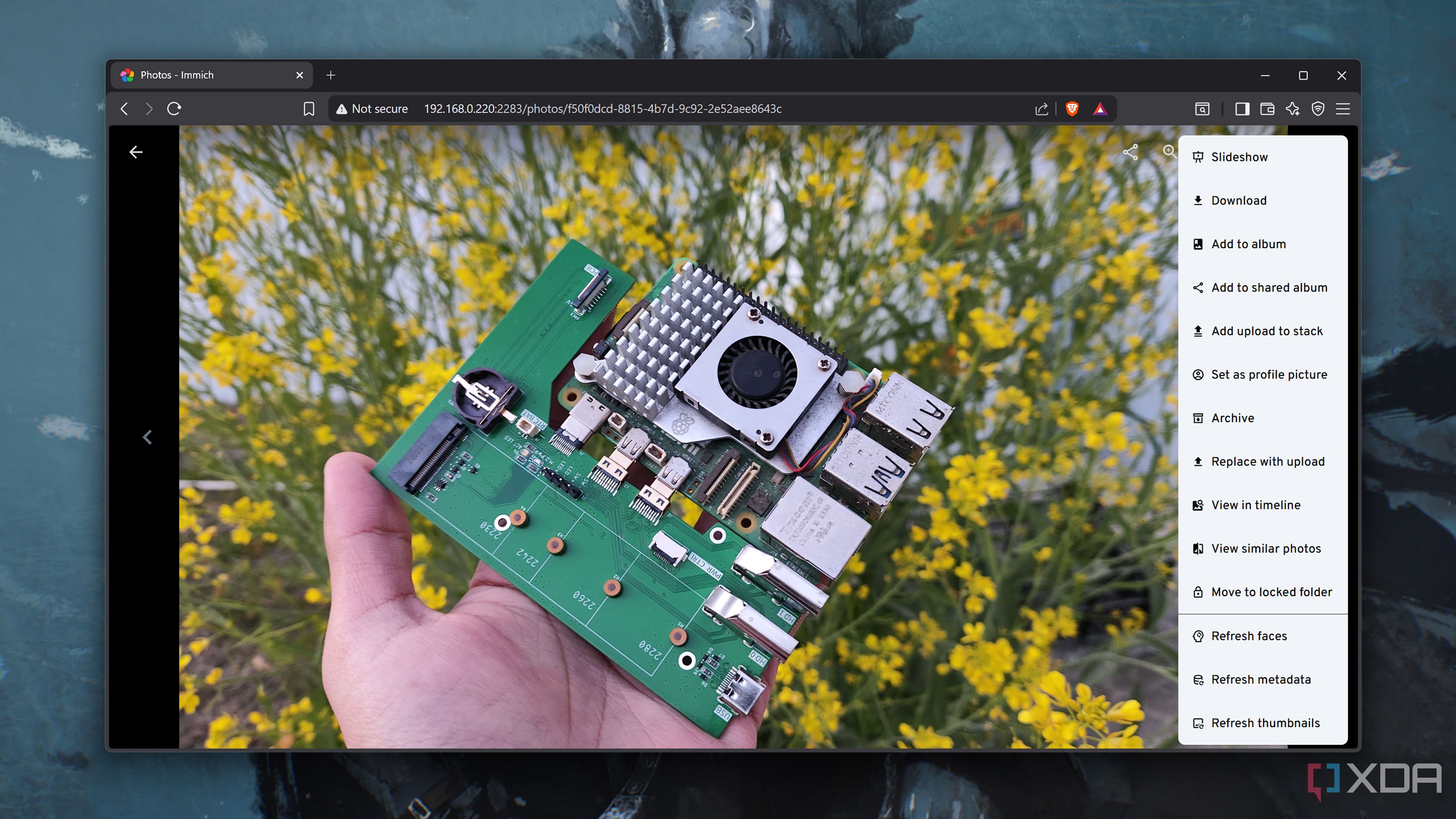 Immich is the first self-hosted Google Photos alternative my family ...