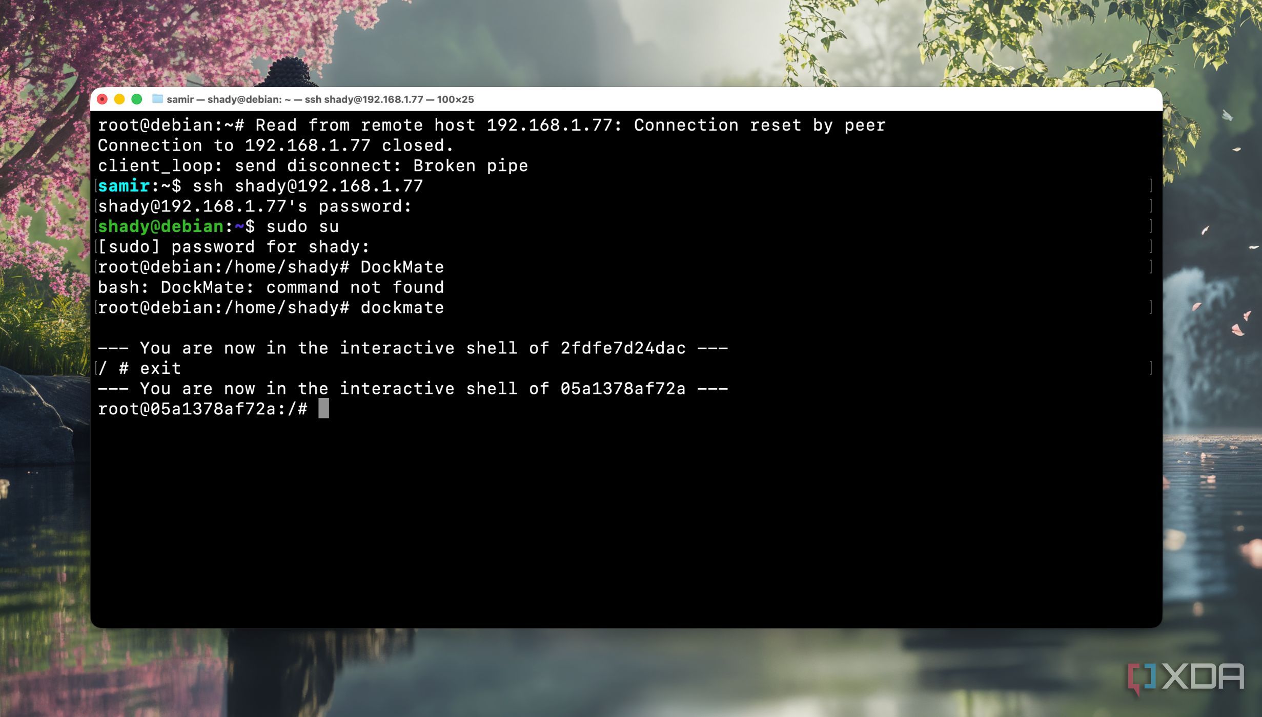 I tried managing Docker containers through Terminal with this app and I ...