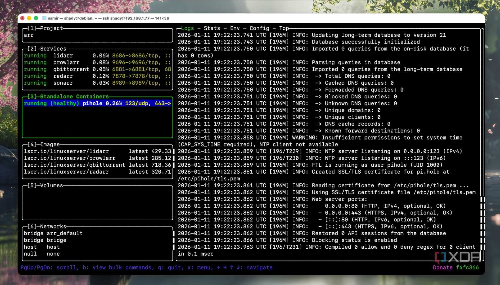 Captura de pantalla del panel de proyecto predeterminado en Lazydocker