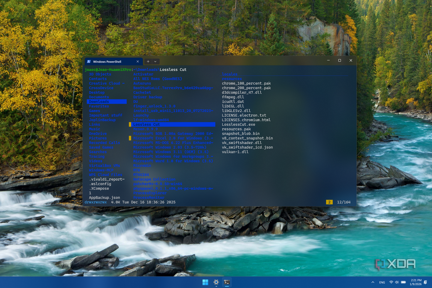 Captura de pantalla de LF dentro de la Terminal de Windows que muestra un resaltado amarillo junto a dos archivos para indicar que han sido copiados