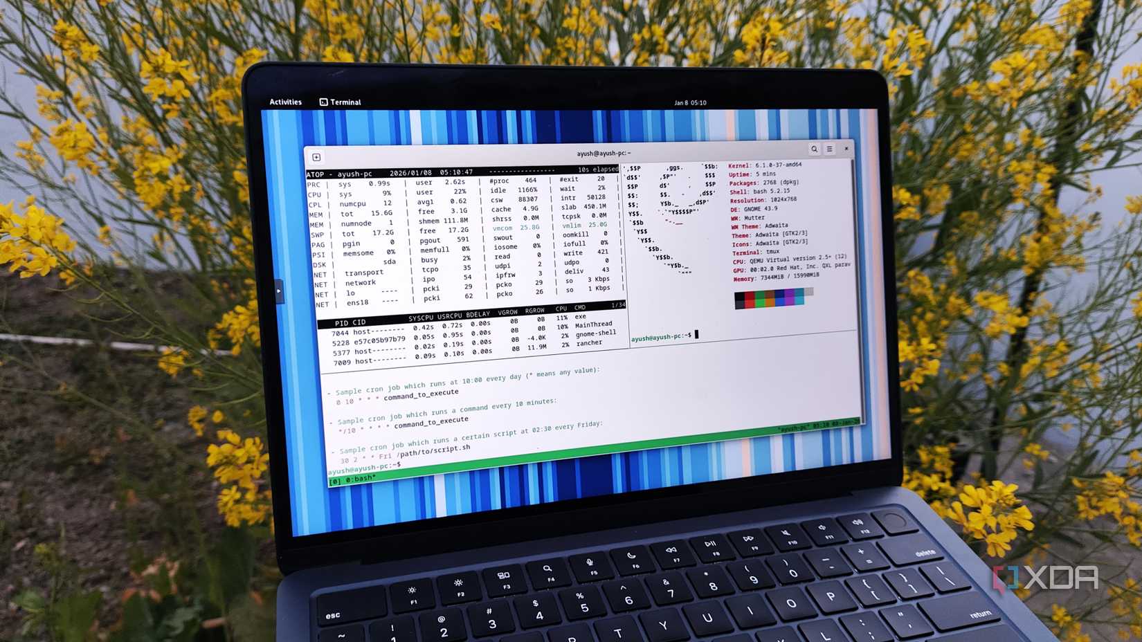 Running Tmux and a couple of apps on the Linux terminal