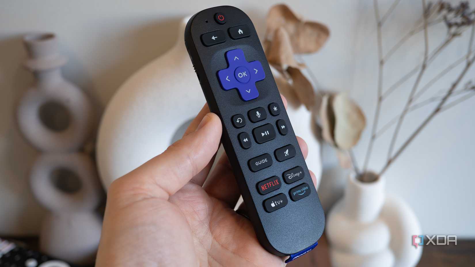 Jellyfin's Roku app just got good enough to ditch Plex