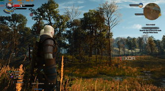 The Witcher 3 running on DLSS 4.5.