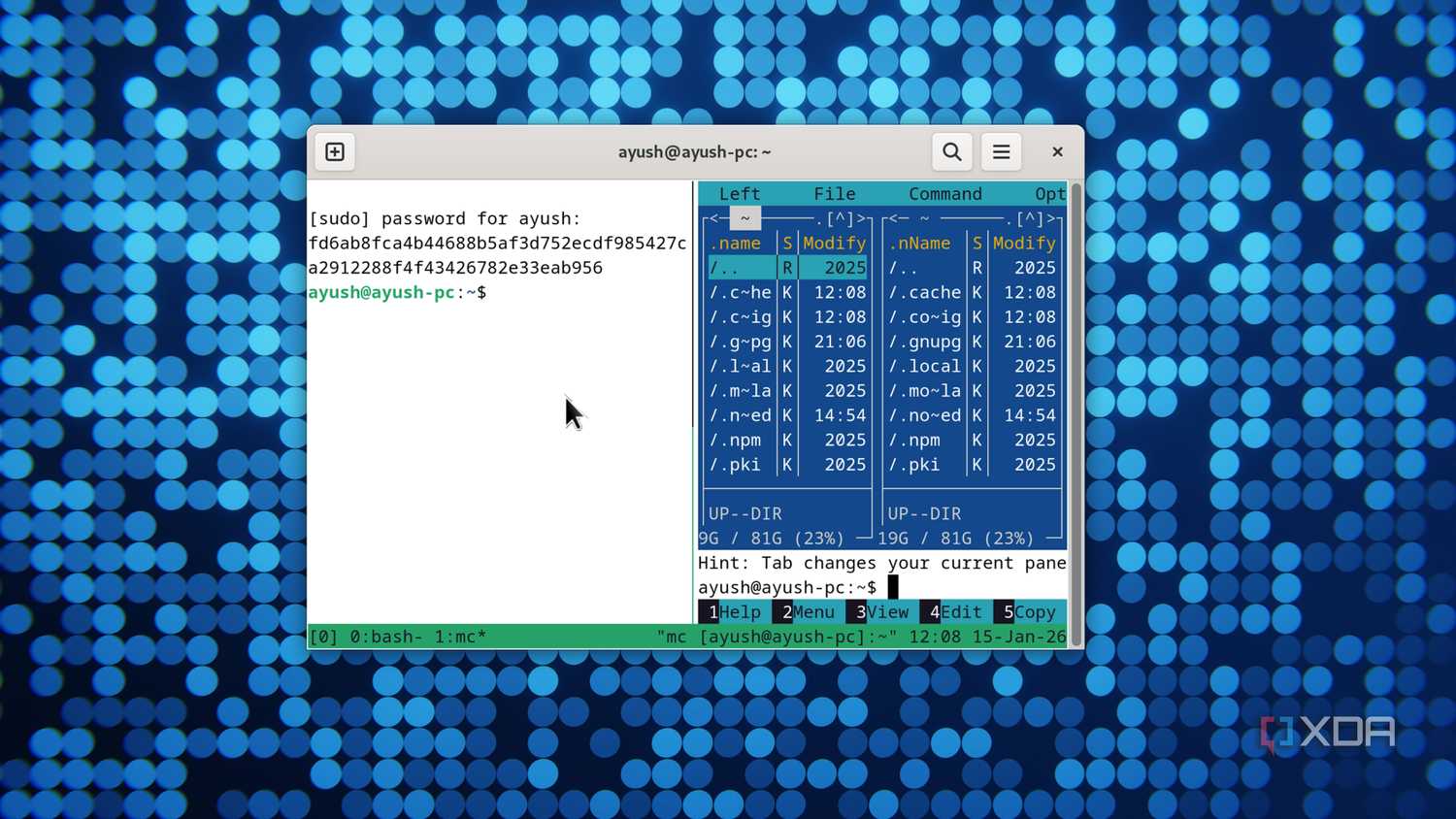 Terminal Experts I switched to Linux for unconventional reasons, and now I can't go back