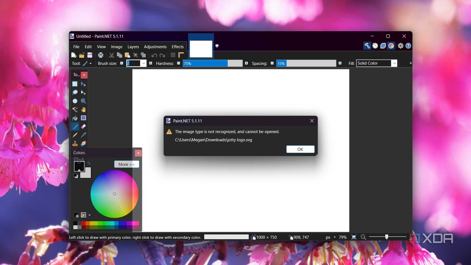 image type not recognized error in paint net