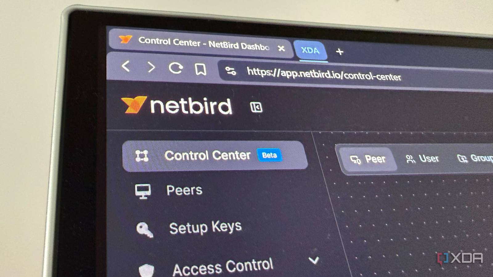 Tailscale is great, but NetBird is better for first-time home-labbers