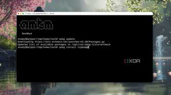 Screenshot of Terminal while installing tcpdump on ASUS router