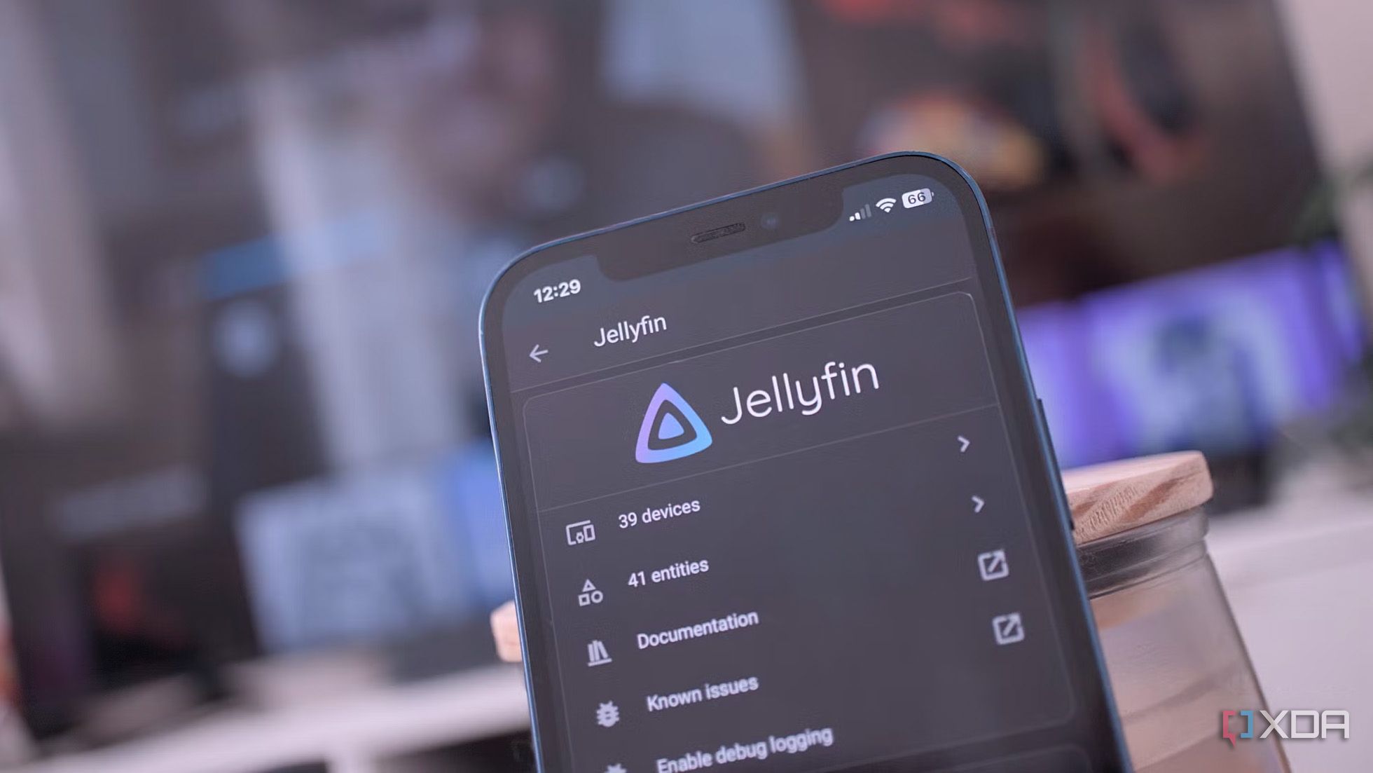 Jellyfin on a phone 