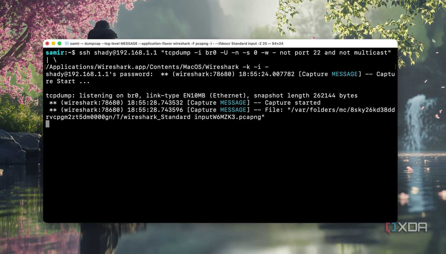 Screenshot of running command in Terminal to capture entire network's traffic